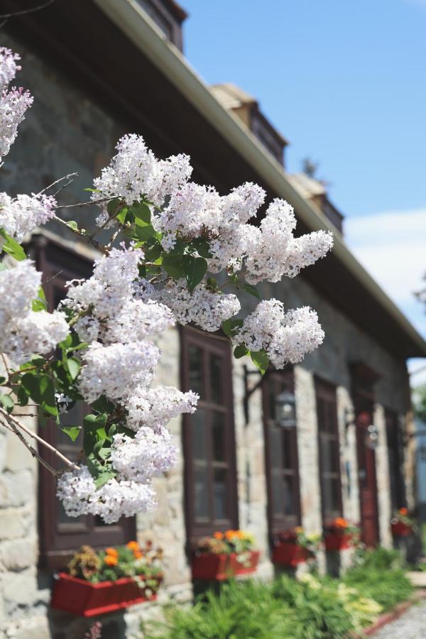 Domaine Steinbach Cidrerie B&B Distillerie Saint-Pierre-de-l'Ile-d'Orleans ภายนอก รูปภาพ