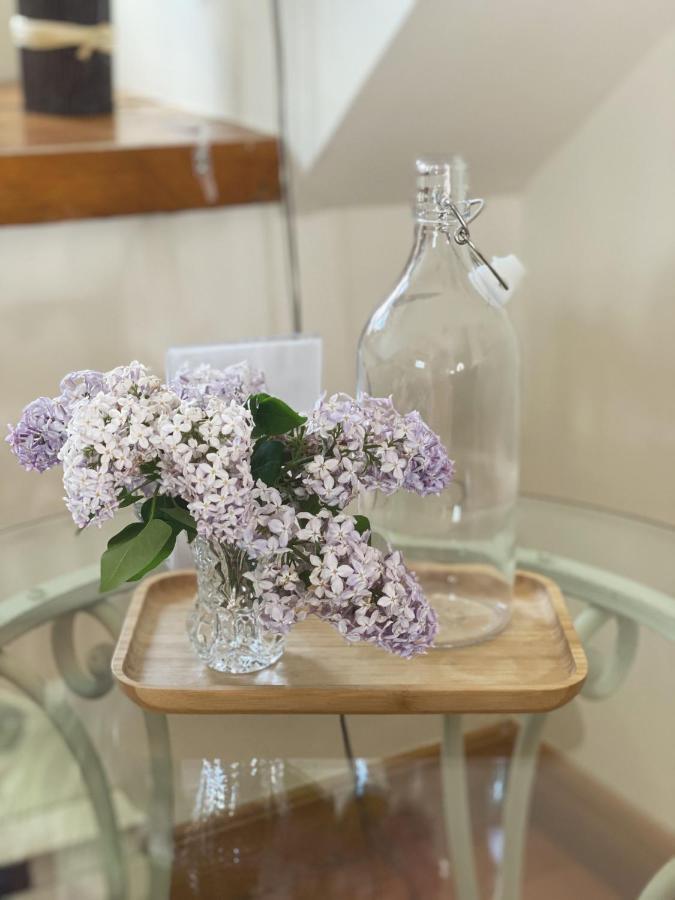 Domaine Steinbach Cidrerie B&B Distillerie Saint-Pierre-de-l'Ile-d'Orleans ภายนอก รูปภาพ